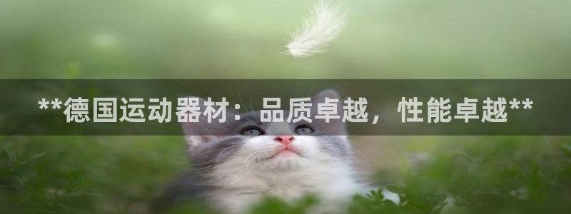 意昂体育3平台是正规平台吗安全吗：**德国运动器材：