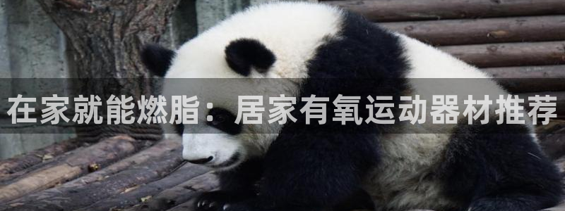 意昂体育3招商电话号码：在家就能燃脂：居家有氧运动器