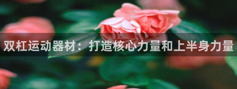 意昂3集团官网首页网址：双杠运动器材：打造核心力量和