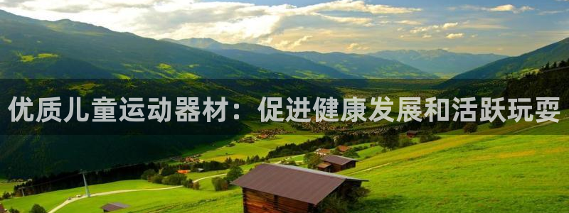 意昂3娱乐下载：优质儿童运动器材：促进健康发展和活跃