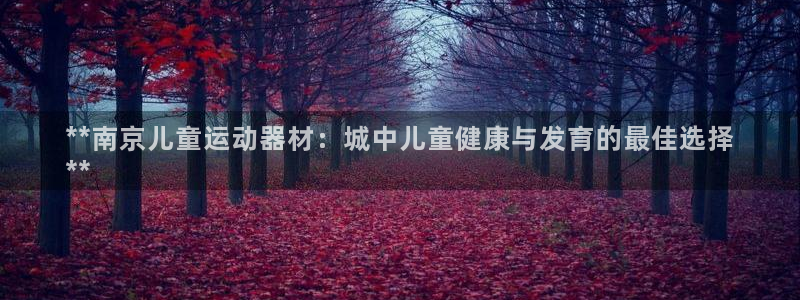 意昂3官方：**南京儿童运动器材：城中儿童健康与发育