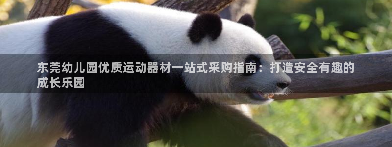 意昂3集团官网网址：东莞幼儿园优质运动器材一站式采购