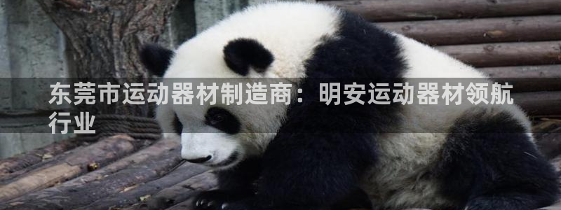 意昂体育3官方客服电话：东莞市运动器材制造商：明安运