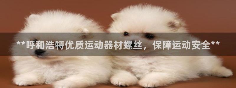 德国意昂3集团：**呼和浩特优质运动器材螺丝，保障运