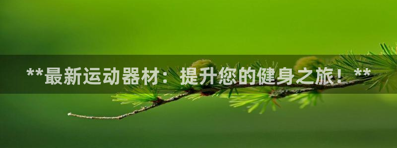 意昂3代理：**最新运动器材：提升您的健身之旅！**