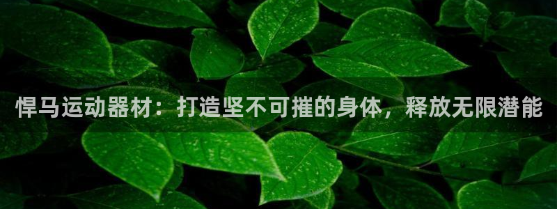意昂集团官网：悍马运动器材：打造坚不可摧的身体，释放