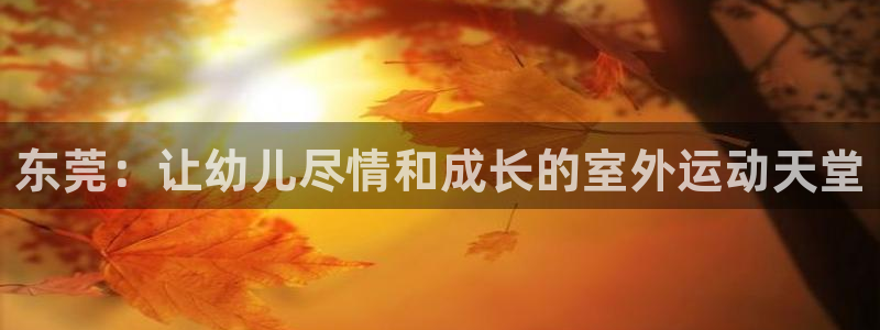 意昂体育3官方客服电话：东莞：让幼儿尽情和成长的室外