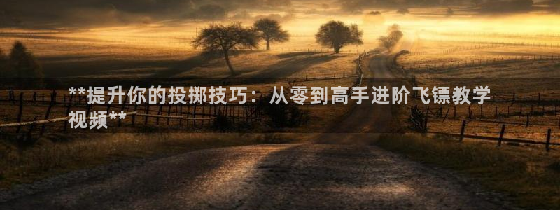 意昂体育3联系电话：**提升你的投掷技巧：从零到高手