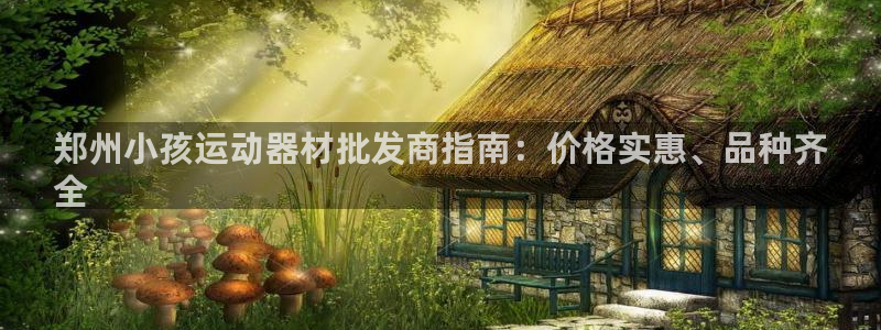 意昂体育3平台注册要钱吗：郑州小孩运动器材批发商指南