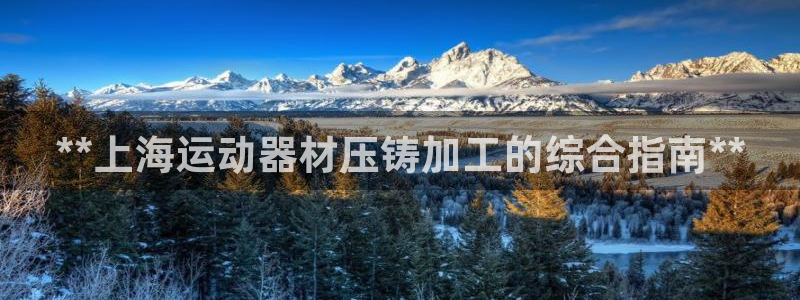 意昂体育3平台注册要钱吗：**上海运动器材压铸加工的