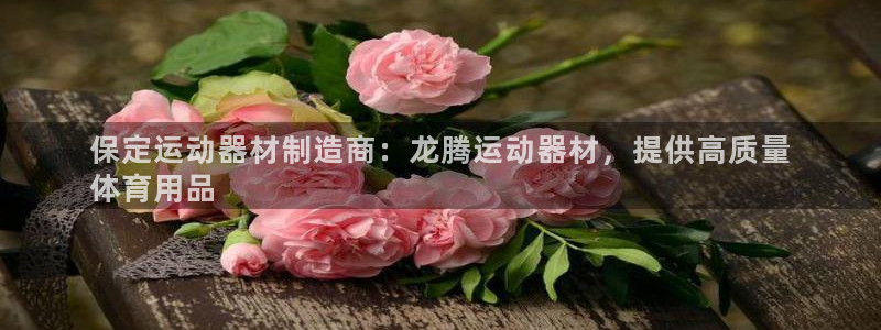 德国意昂3集团：保定运动器材制造商：龙腾运动器材，提