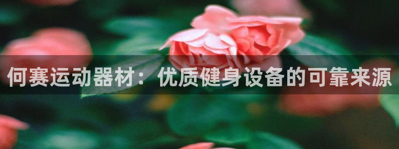 意昂体育3平台假的吗是真的吗：何赛运动器材：优质健身