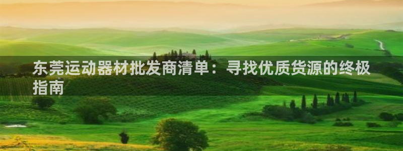 德国意昂3集团：东莞运动器材批发商清单：寻找优质货源