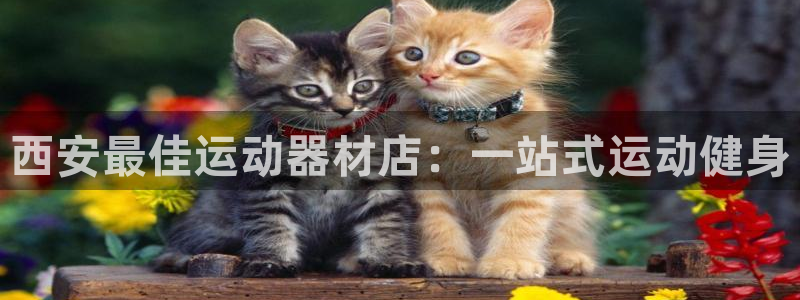 意昂体育3平台注册流程图：西安最佳运动器材店：一站式