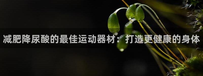 意昂3集团官网首页网址：减肥降尿酸的最佳运动器材：打