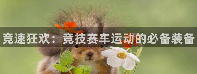 意昂体育3招商电话：竞速狂欢：竞技赛车运动的必备装备