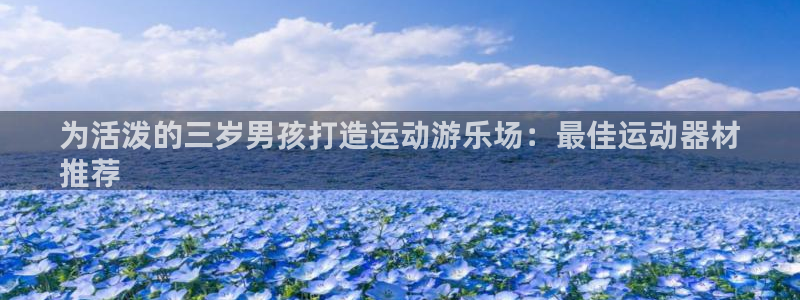 意昂体育3平台假的吗是真的吗吗：为活泼的三岁男孩打造