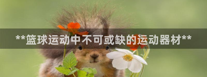 意昂体育3平台APP：**篮球运动中不可或缺的运动器