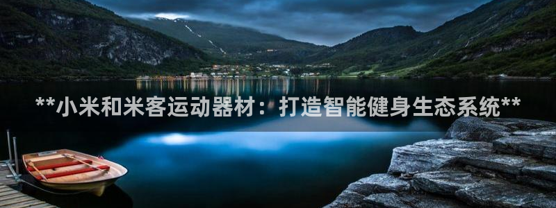 意昂体育3平台APP：**小米和米客运动器材：打造智