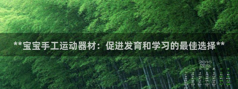 意昂平台体育：**宝宝手工运动器材：促进发育和学习的