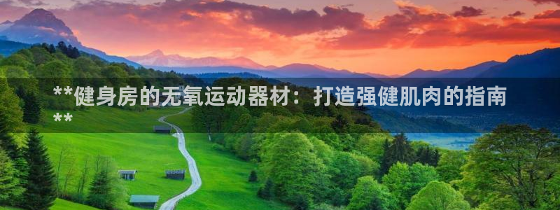 意昂3开户：**健身房的无氧运动器材：打造强健肌肉的