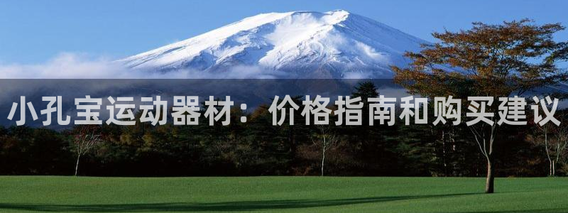意昂体育3平台APP：小孔宝运动器材：价格指南和购买