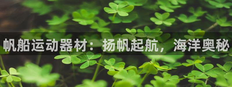 意昂3娱乐网站：帆船运动器材：扬帆起航，海洋奥秘
