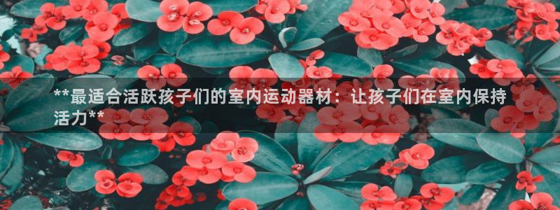 意昂3集团官网网址：**最适合活跃孩子们的室内运动器