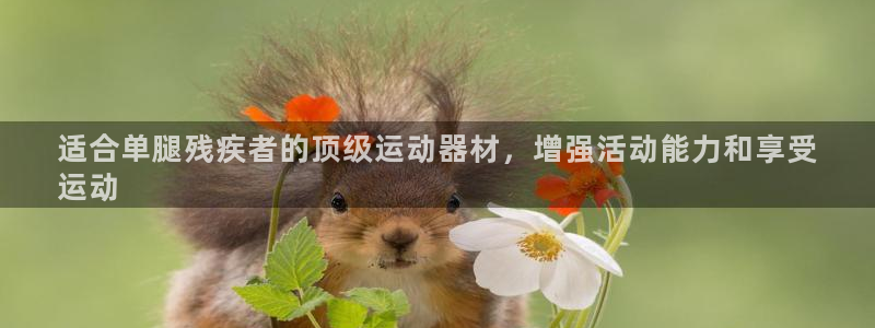 意昂3开户：适合单腿残疾者的顶级运动器材，增强活动能