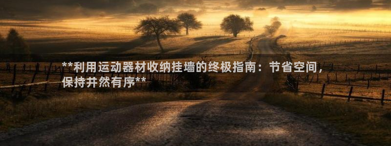 意昂体育3平台：**利用运动器材收纳挂墙的终极指南：