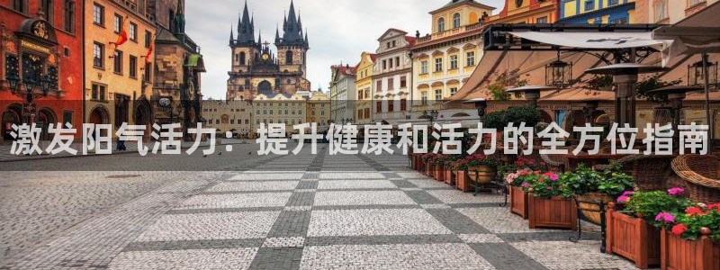 意昂体育3：激发阳气活力：提升健康和活力的全方位指南