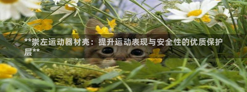 意昂体育3招商电话地址是多少：**崇左运动器材壳：提