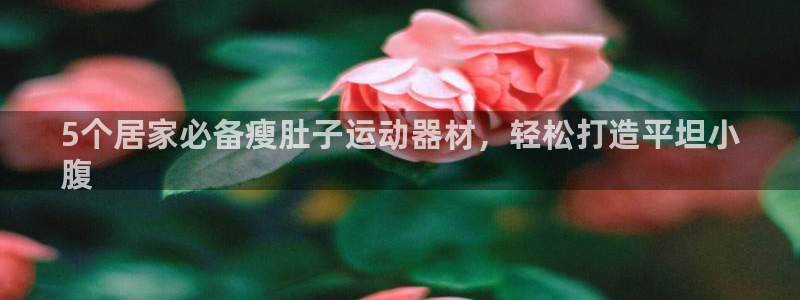 意昂3集团简介：5个居家必备瘦肚子运动器材，轻松打造