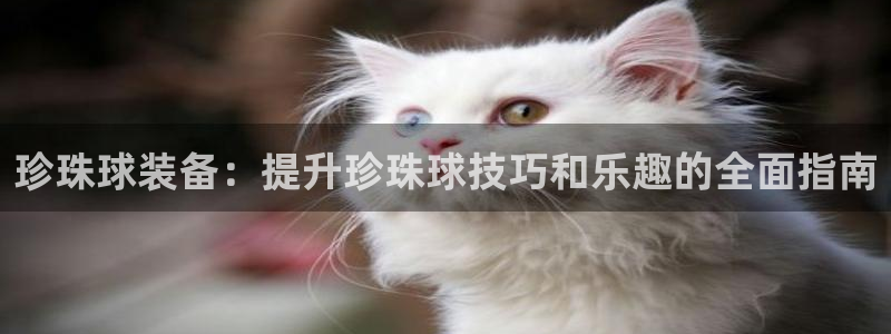 意昂体育3平台注册要钱吗安全吗：珍珠球装备：提升珍珠