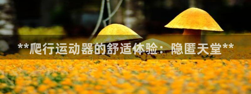 意昂体育3平台是正规平台吗：**爬行运动器的舒适体验