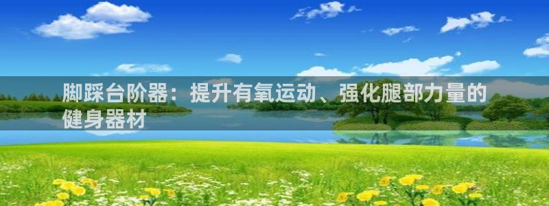 意昂体育3是干嘛的公司：脚踩台阶器：提升有氧运动、强
