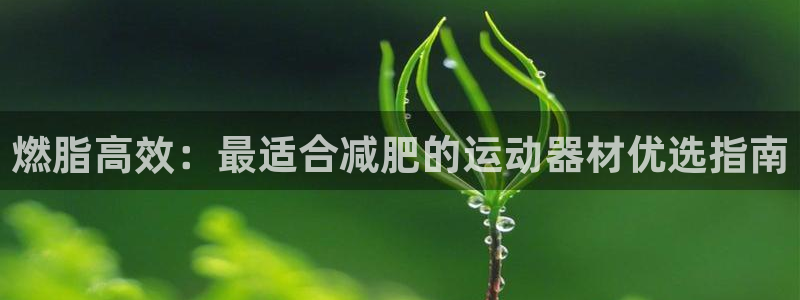 意昂3娱乐平台：燃脂高效：最适合减肥的运动器材优选指