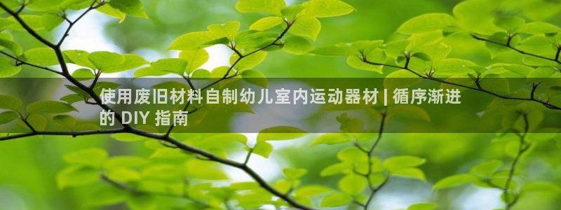 意昂体育3招商电话号码是多少号：使用废旧材料自制幼儿