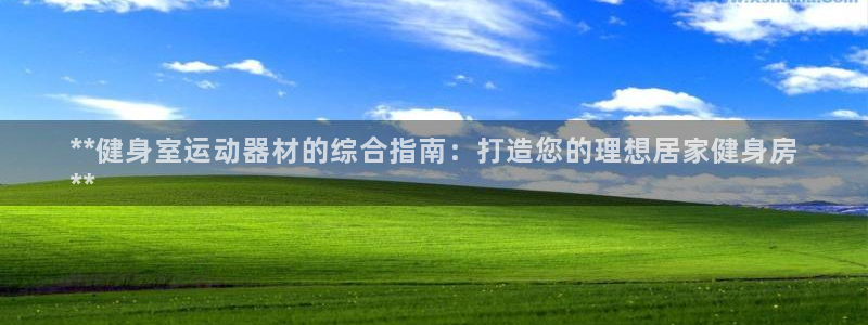 海南意昂体育3发展怎么样：**健身室运动器材的综合指