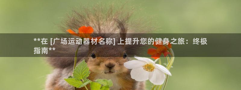 意昂体育3注册：**在 [广场运动器材名称] 上提升