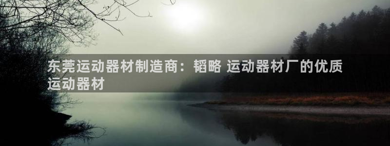意昂3集团官网网址：东莞运动器材制造商：韬略 运动器