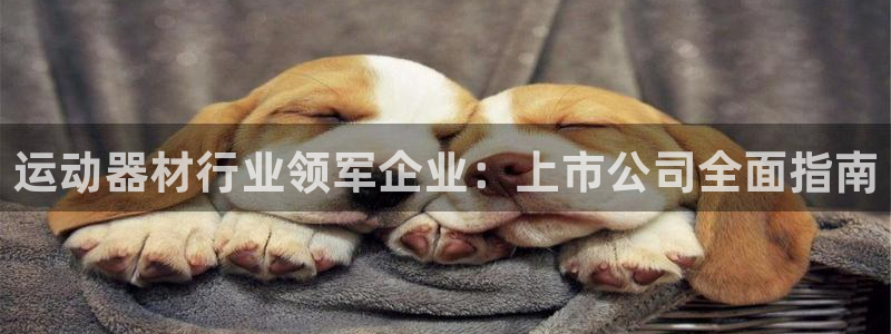 意昂体育3招商电话是多少啊：运动器材行业领军企业：上