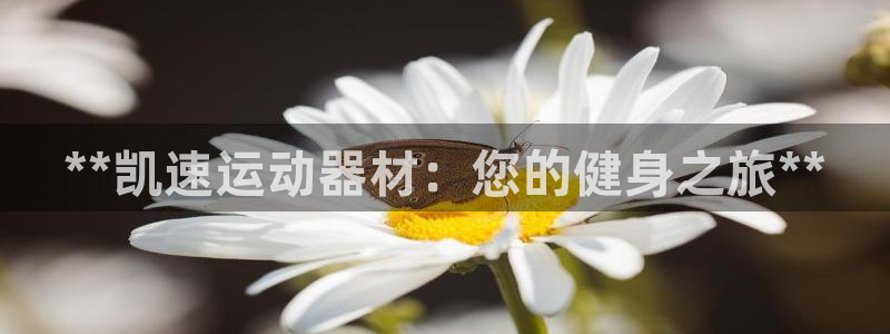 意昂3娱乐：**凯速运动器材：您的健身之旅**