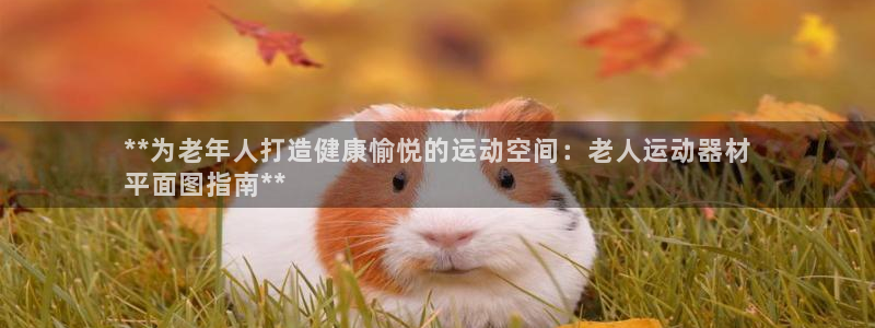 意昂3五金厂：**为老年人打造健康愉悦的运动空间：老