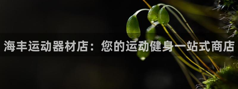 意昂3娱乐平台：海丰运动器材店：您的运动健身一站式商