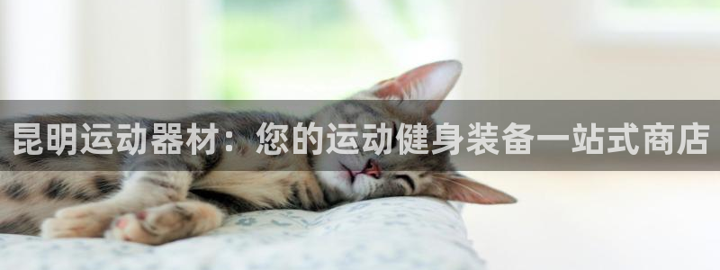 意昂体育3招商电话是多少：昆明运动器材：您的运动健身