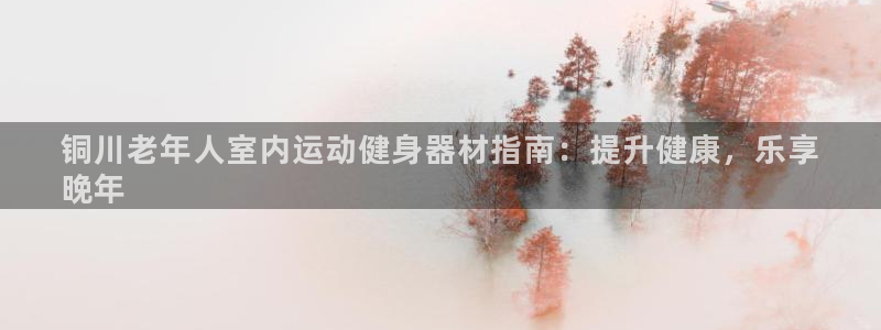 意昂3娱乐：铜川老年人室内运动健身器材指南：提升健康