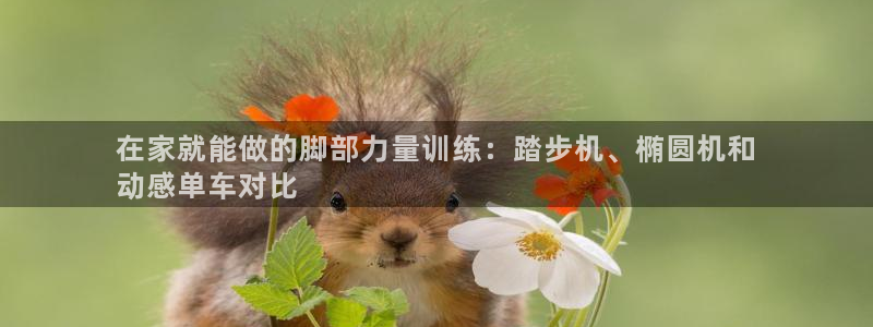 意昂体育3平台：在家就能做的脚部力量训练：踏步机、椭
