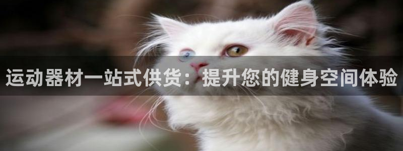 德国意昂3集团：运动器材一站式供货：提升您的健身空间