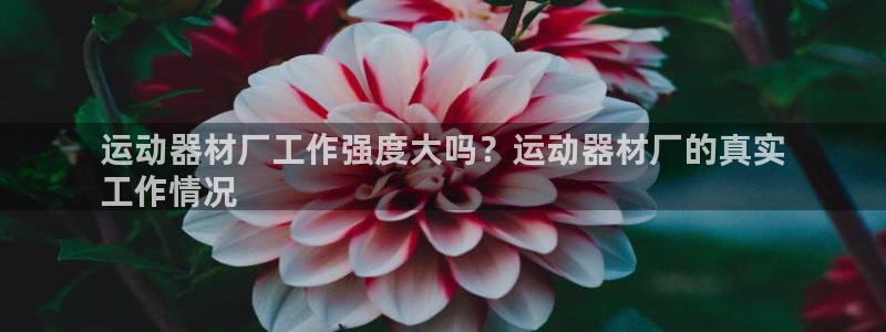 意昂3娱乐下载：运动器材厂工作强度大吗？运动器材厂的